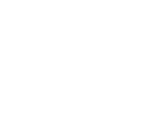 GSERVIS