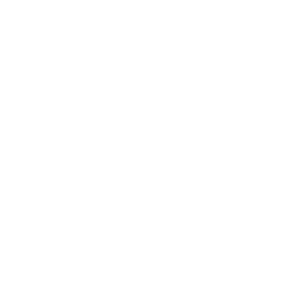 Callida